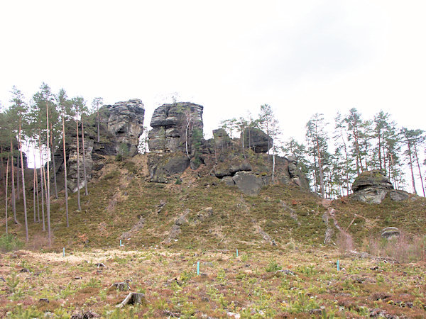 Pohled na odlesněnou západní část skalnatého hřbetu.