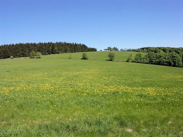 Wiesen auf der flachen Kuppe des Hügels.