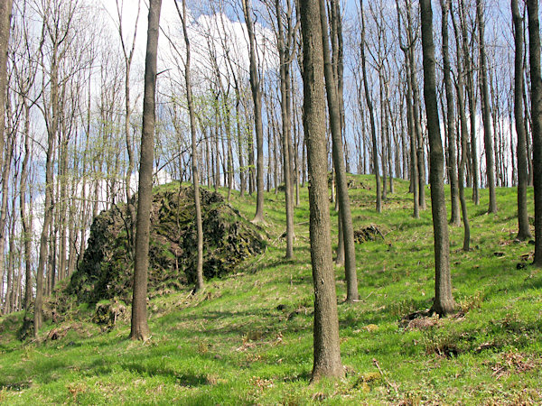 Blick auf den Westgipfel des Berges.