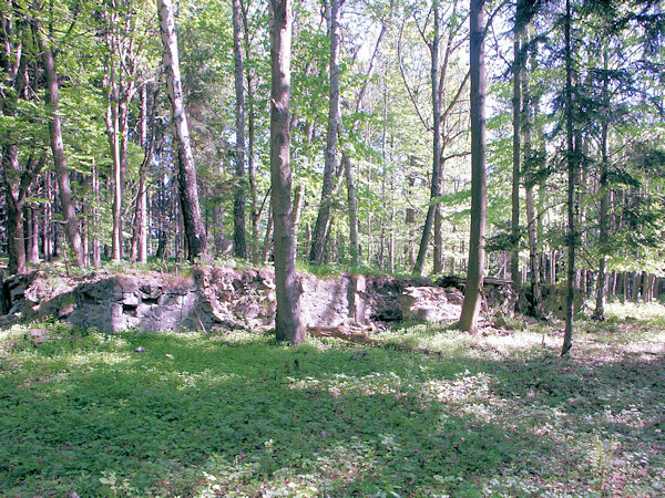 Grundmauern des ehemaligen Gasthauses (Wachsteinbaude).