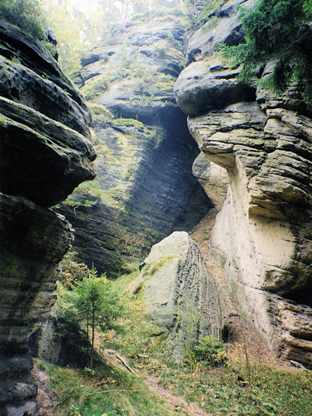 Felsen im Bukový důl.