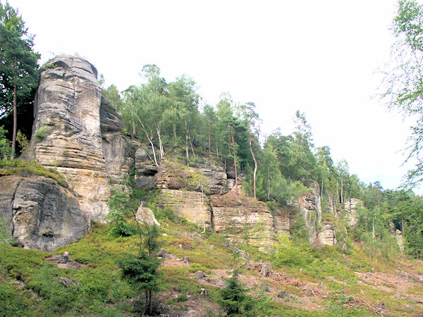 Skalní stěna mezi Bukovým dolem a Svojkovem, odhalená po vykácení lesa.