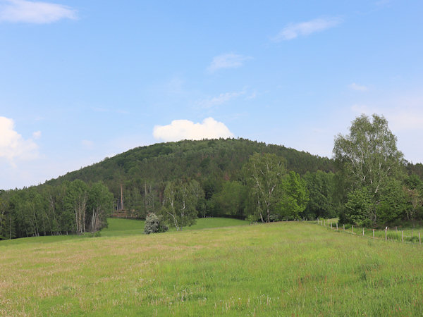 Celkový pohled na kopec pod Sloupu.