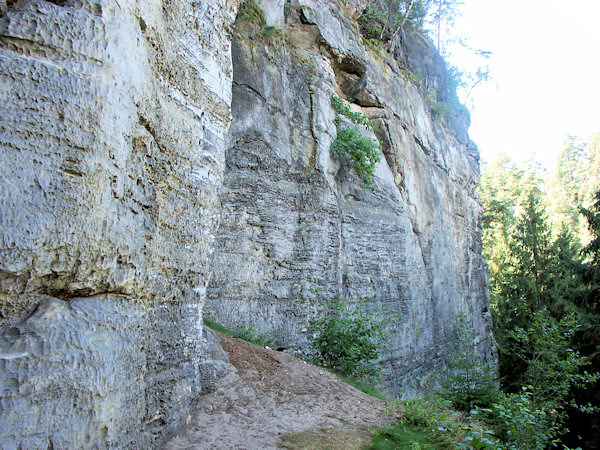 Švédská stěna v Konvalinkovém dolu u Sloupu.