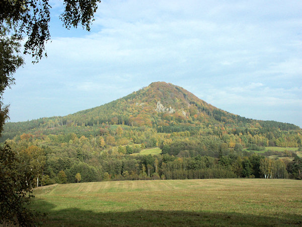 Gesamtansicht des Ortel mit den Felswänden am Südhange.