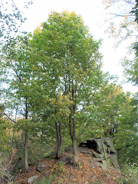 Felsen auf dem Berggipfel.