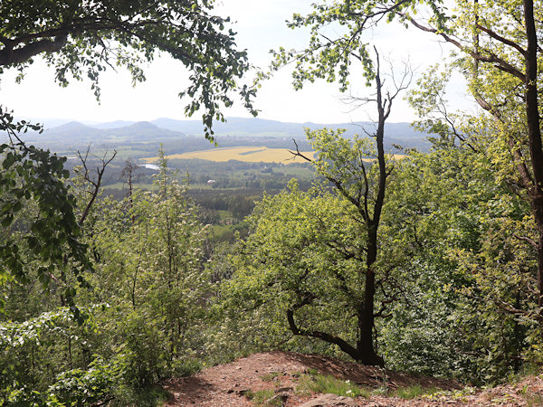 Überwucherter Aussichtspunkt an der Südwestseite des Berges.