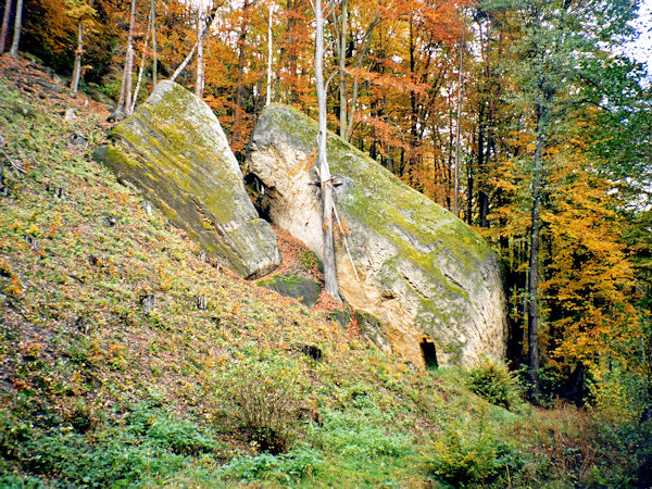 Abgestürzte Felsblöcke am Abhange der Hochebene des Vejrov (Weiherwald).