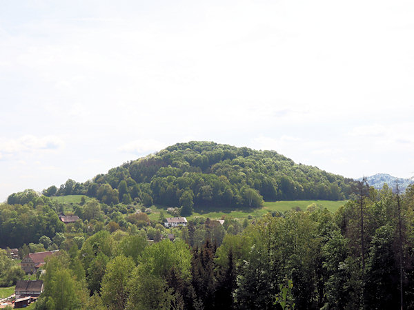 Pohled na Velenický kopec od západu.