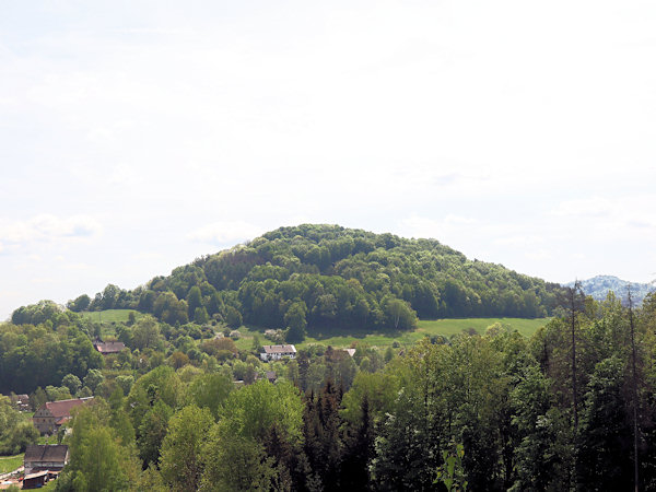 Velenický kopec (Wellnitzberg) vom Westen.