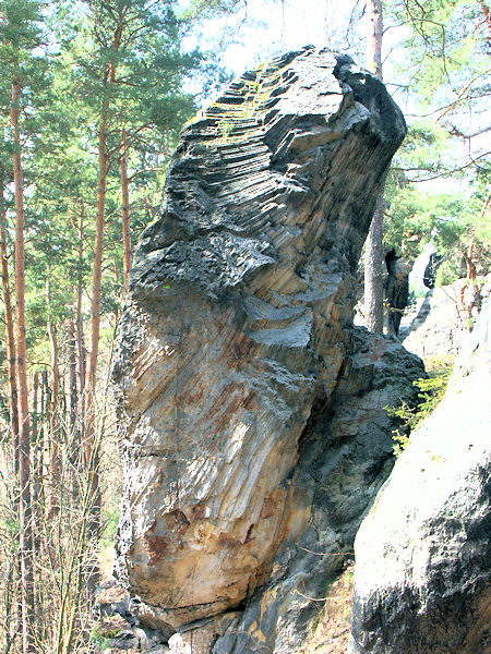 Varhany - skalní pilíř složený z pískovcových sloupečků.