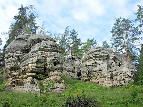 Pískovcové skály na západním okraji údolí Svitavky.