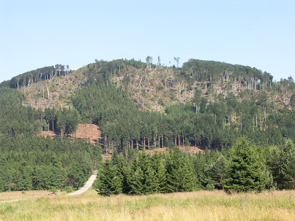 Bučina na vrcholu kopce po větrné smršti 24. května 2010.