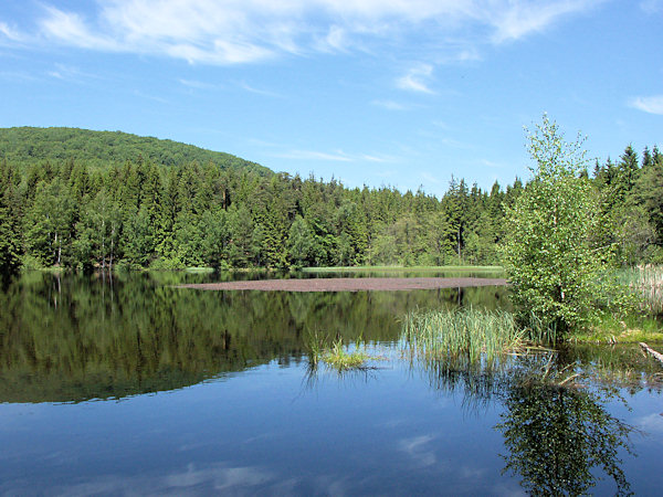 Blick auf den Hraniční rybník von seinem östlichen Ufer.
