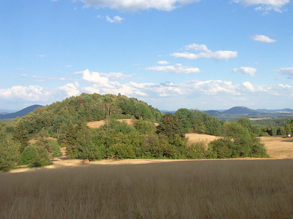 Pohled na zalesněný vrcholek od západu.
