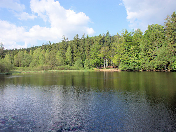 Blick auf den Teich vom Damm aus gesehen.