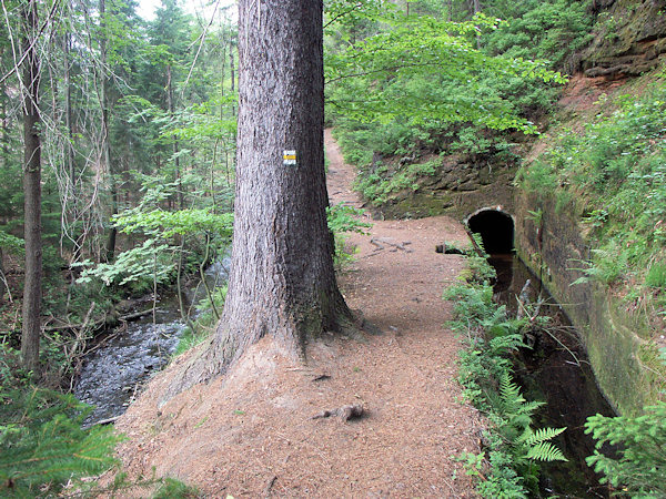 Der Mühlgraben der ehemaligen Spinnerei ist zum Teil in den Felsen gehauen. Links unten fliesst der Hamerský potok (Hammerbach).