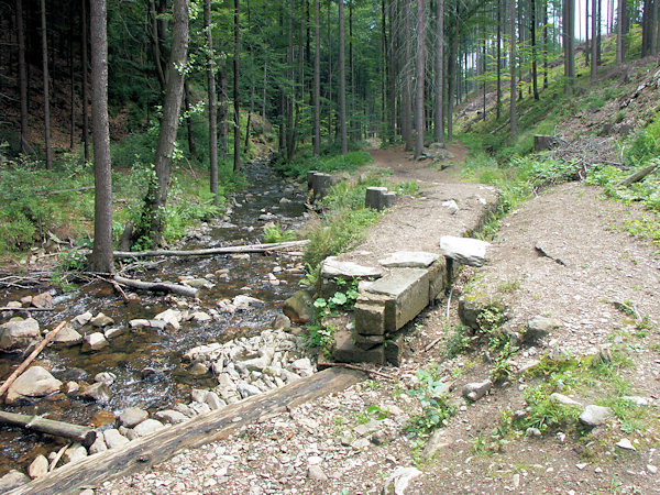 Anfang des alten Mühlgrabens, der das Wasser in das obere Sägewerk Mitters führte.