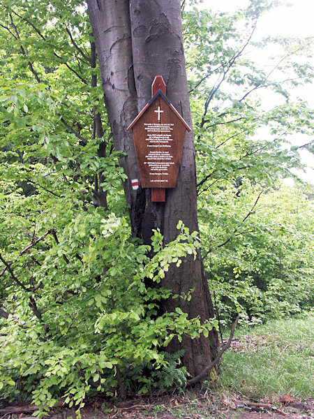 Gedenktafel am Wege vom Milštejn zum Staubecken Naděje (Hoffnung).