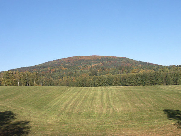Pohled na kopec od Cvikova.