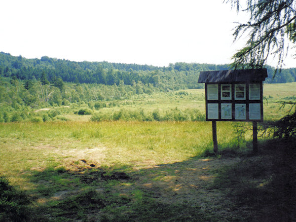 Blick auf das Hochmoor vom Anfang des Naturlehrpfades.