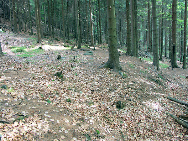 Einer der alten Meiler am westlichen Hang des Berges.