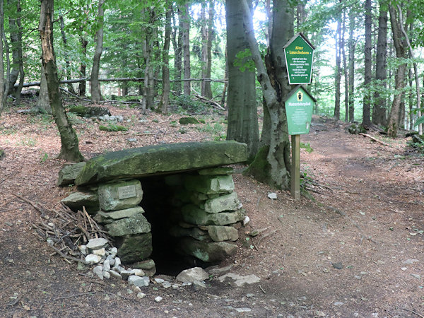 Die Quelle Lauscheborn am Nordwesthang der Lausche.