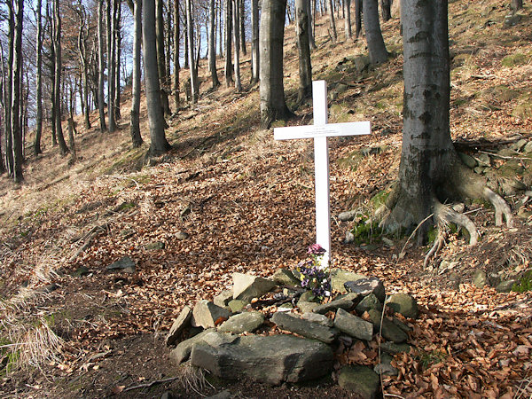 Das an den Absturz des deuschen Heinkel 111 - Flugzeuges am südwestlichen Hange der Lausche am 10. Februar 1945 erinnernde Kreuz.