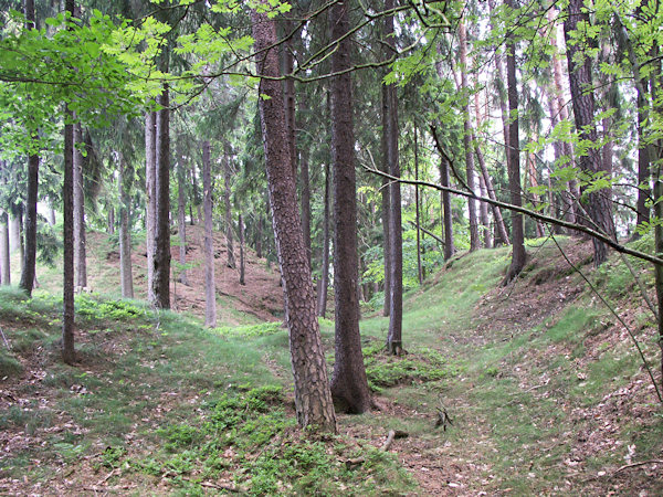 Ein alter Steinbruch am Gipfel des Berges.