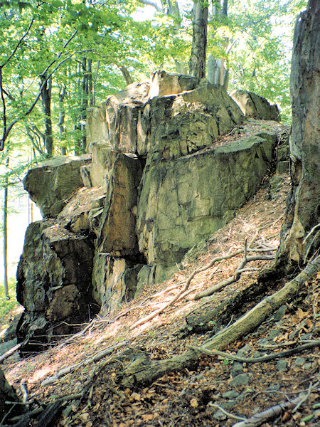 Phonolithfels am Südhange des Berges.