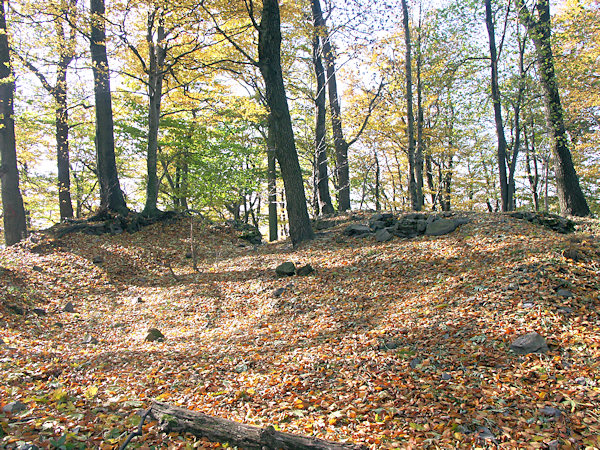 Gipfel des Sokol mit den Resten der Burg Alt Falkenburg.