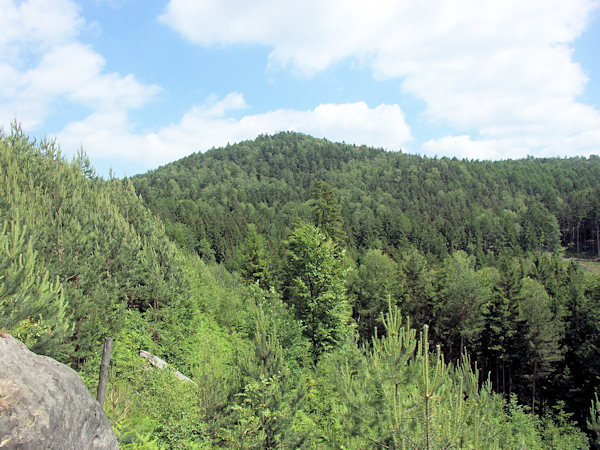 Bewaldeter Gipfel des Zámecký vrch (Schlossberg).