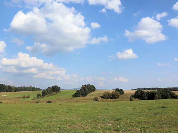 Gesamtansicht des flachen Gipfels von Bouřlivý vrch (Donnersberg).