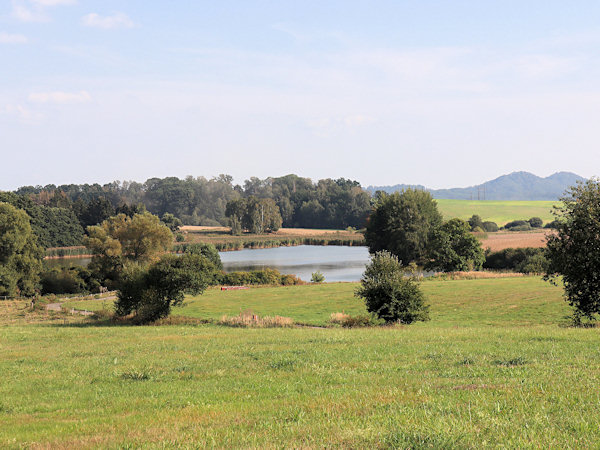 Blick auf den Teich von der Hauptstraße von Mimoň (Niemes) nach Jablonné (Deutsch Gabel).