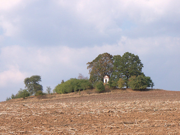 Blick von Südosten auf die Anhöhe.