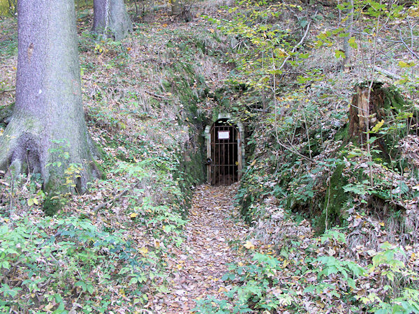 Das Mundloch des alten Eisenerz-Stollens im Tale unter dem Schloss.