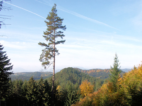 Der zentrale Teil des Johnswaldes mit dem Gipfel des Buková (Buchberg).