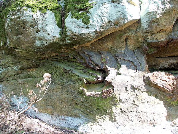 Eisenbildungen im Sandsteinfelsen auf dem Kohout-Kamm (Hahn).