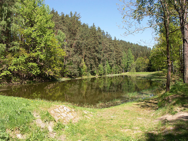 Přední Janovický rybník (Vordere Tellenteich).