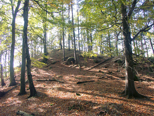 Der höchste Gipfel der Pískové návrší ist mit Laubwald bedeckt.