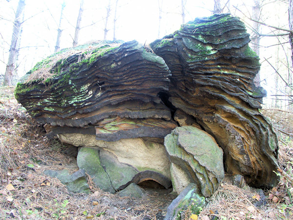 Stark mit Eisen imprägnierter Sandsteinblock auf dem Janův vrch (Johannesberg).