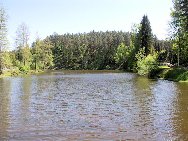 Dorfteich in Janovice mit dem bewaldeten Hügel im Hintergrund.