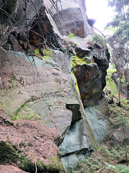 Kozí hřbety (Ziegenrücken), Felswände am Nordostabhang.