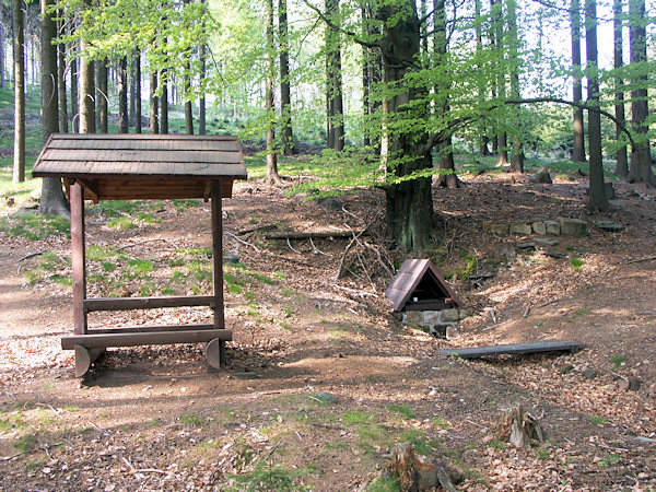 Studánka Otakar na jižním svahu kopce.