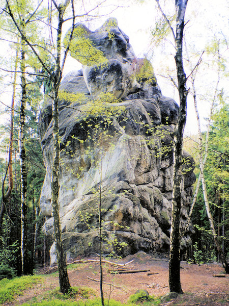 Der Felsen Sokol (Falke).