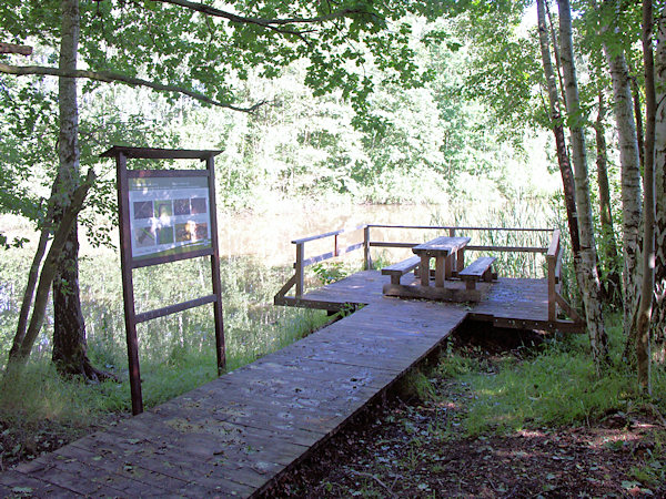 Rastplatz des Naturlehrpfades am Waldteich.