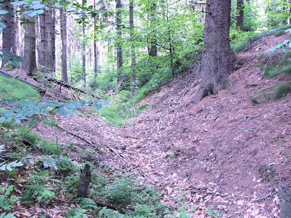 Der das Tal von der Burg bis zum Fusse des Heideberges sperrende Wall mit Graben.