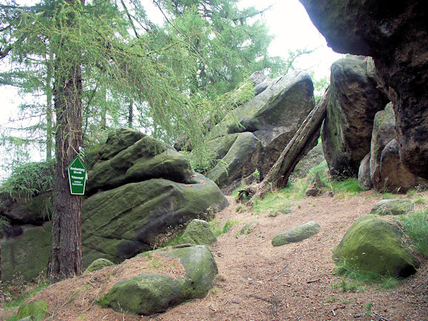 Felsenstadt auf dem Ameisenberggipfels.