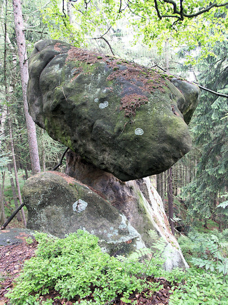 Sandsteinpilz in der Felsenstadt.