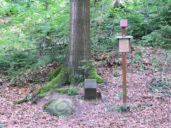 Lutherův dub (Luthereiche) a Chlebový kámen (Brotstein) u Lipské cesty.